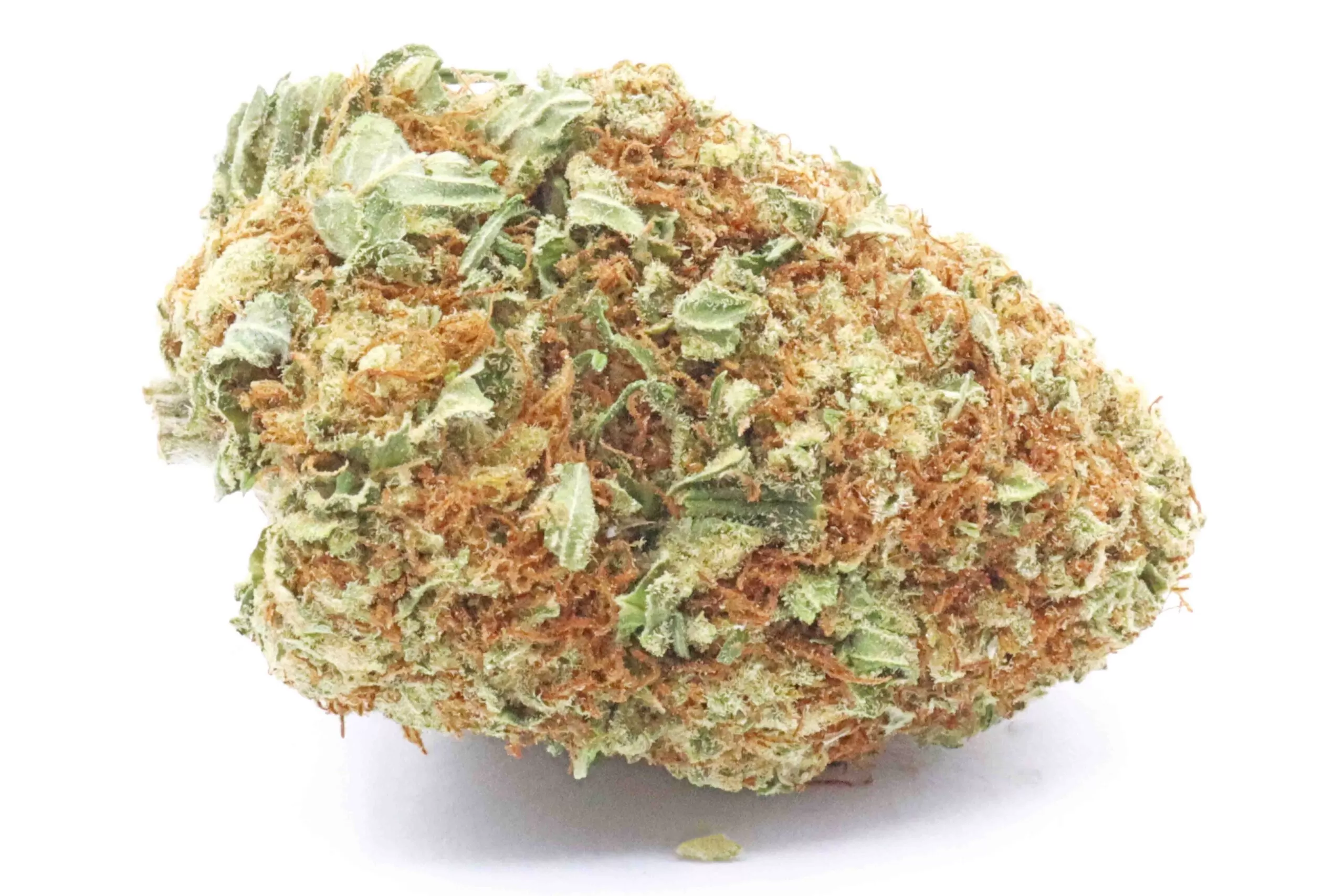 Allen Wrench Sativa Marijuana Strain