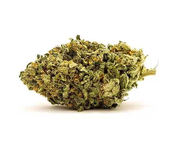 Blue Dream Sativa Cannabis Strain