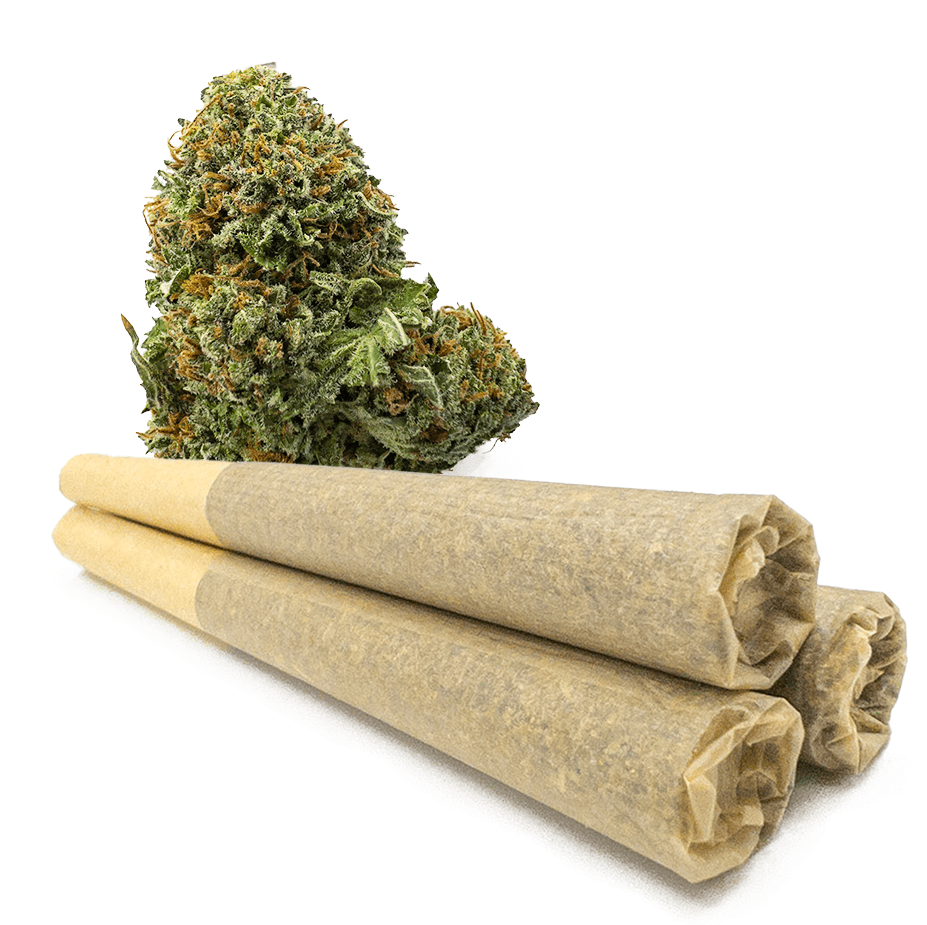 Buy 0.9 Gram Elmer’s Glue Weed Pre-Rolled Joints