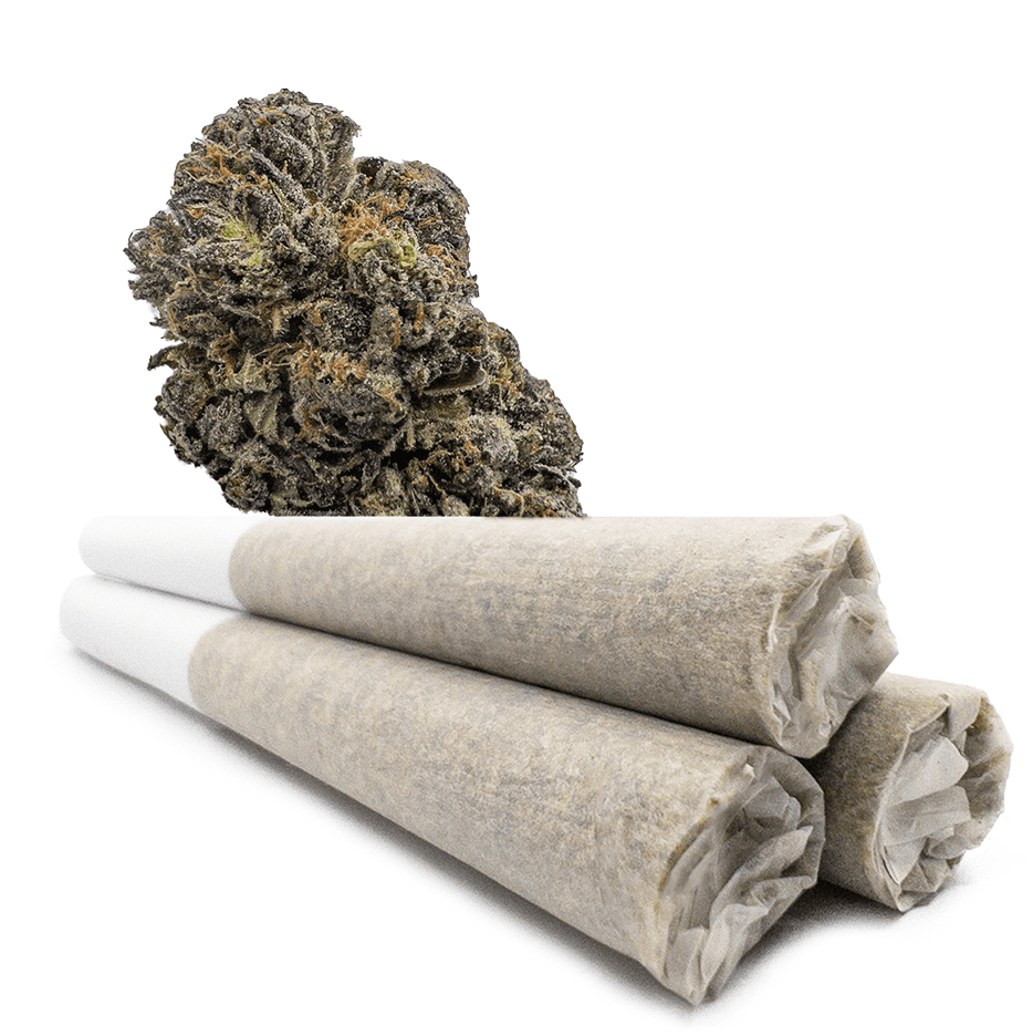 Buy Scooby Snacks 0.9 Gram Pre-Rolled Joints