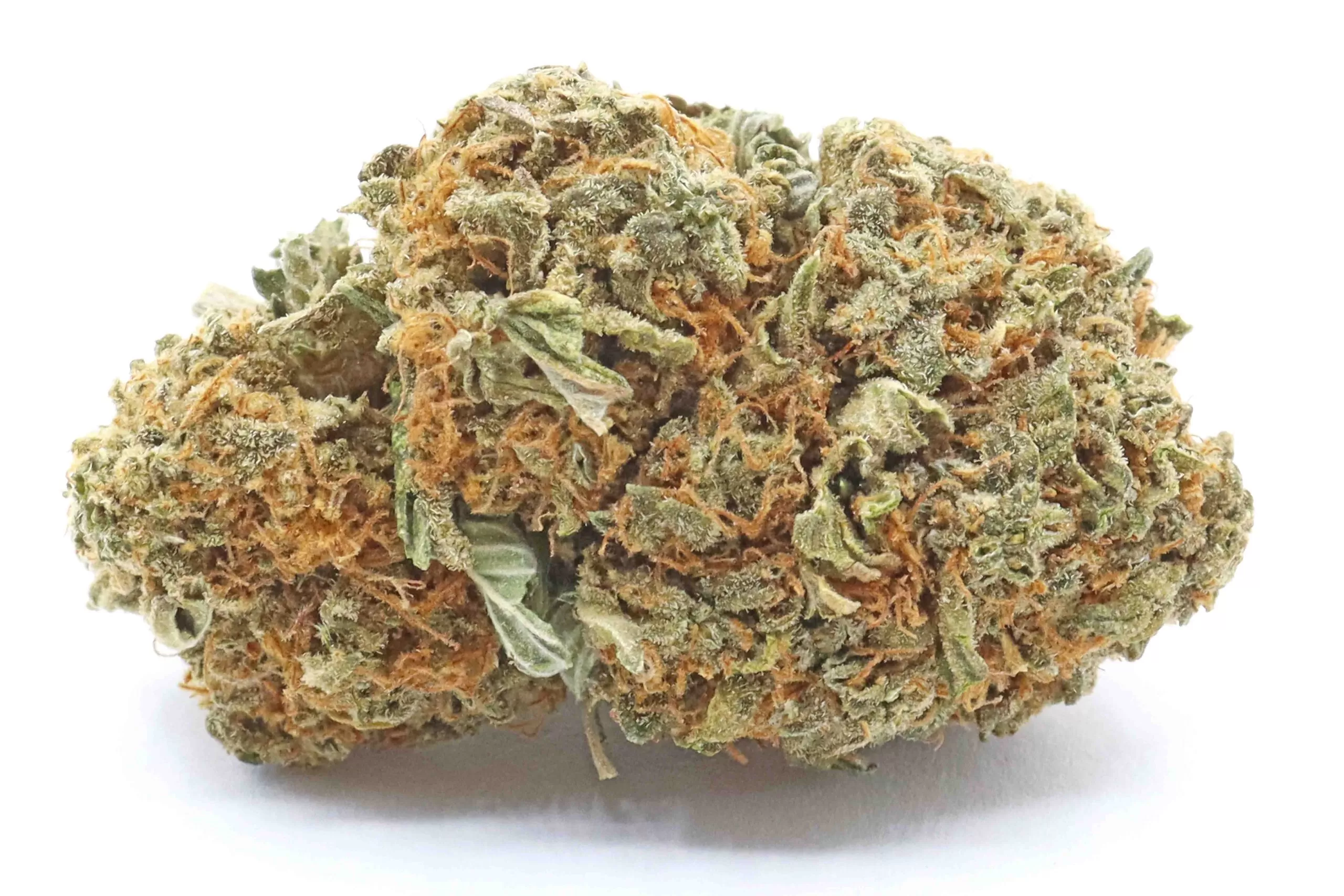 Cannatonic Hybrid Cannabis Strain Sydney