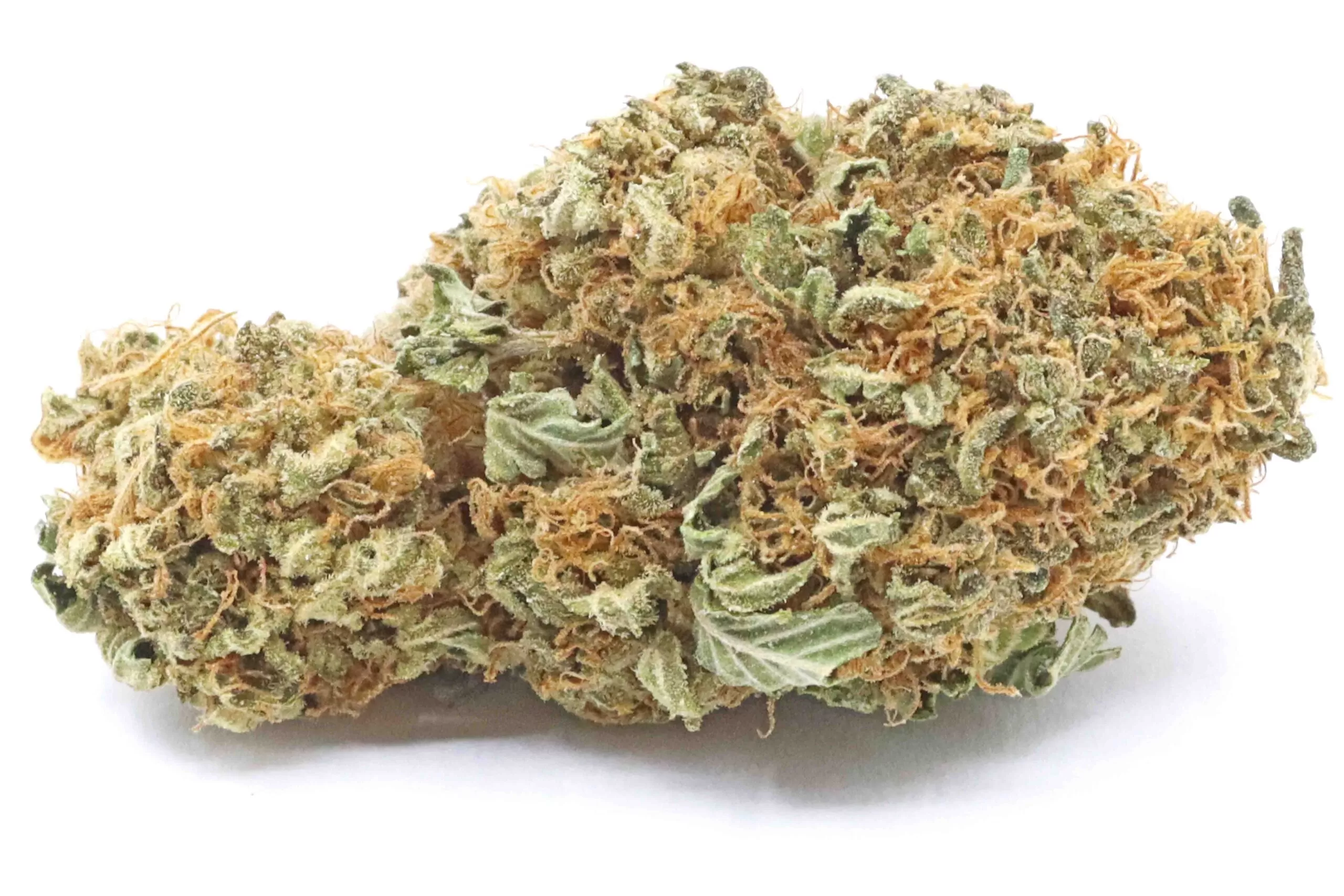 Gary Payton Hybrid Marijuana Strain