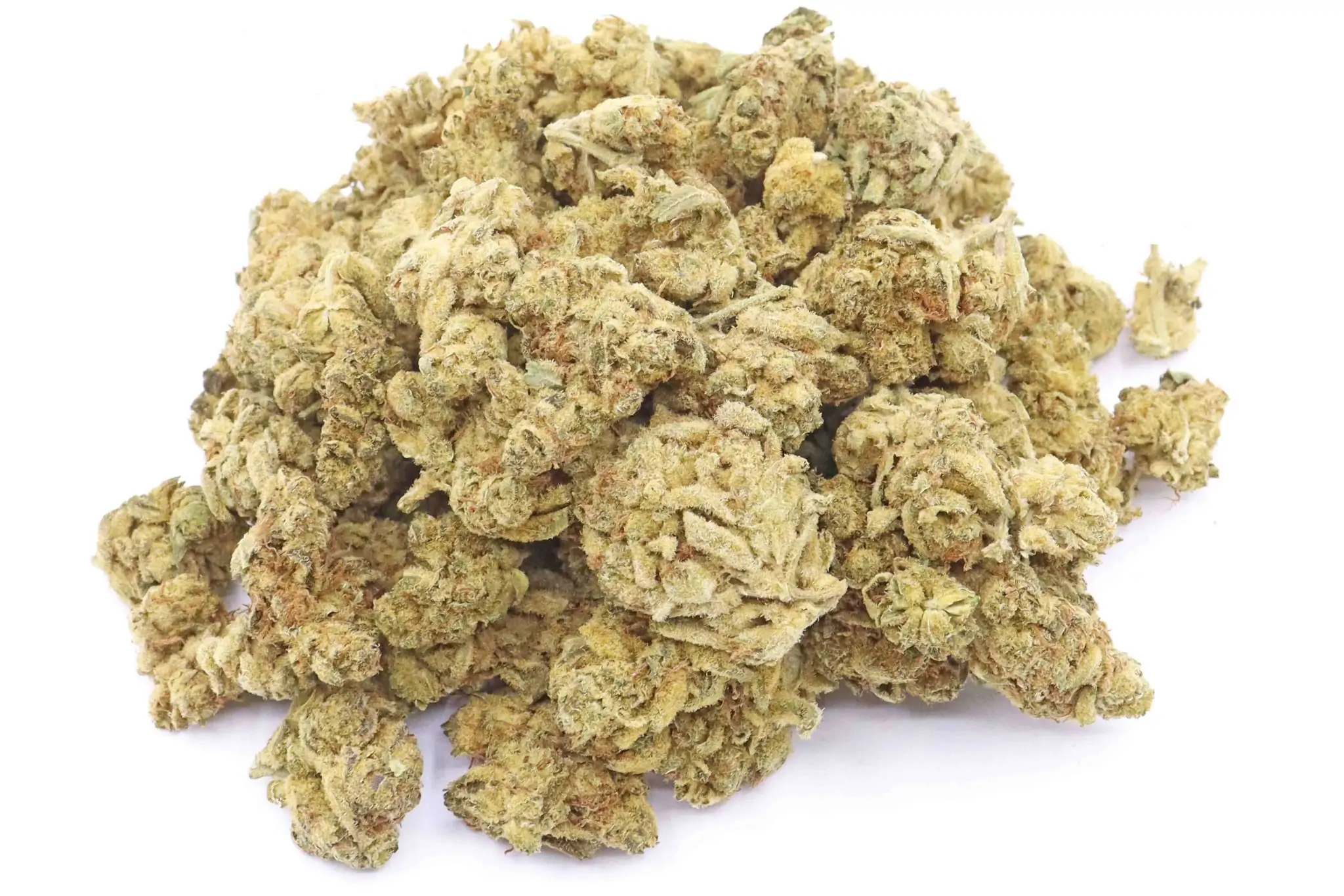 Glazed Apricot Gelato Cannabis Strain