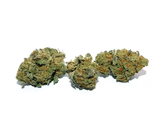 Gushers Indica Dominant Hybrid Weed Strain