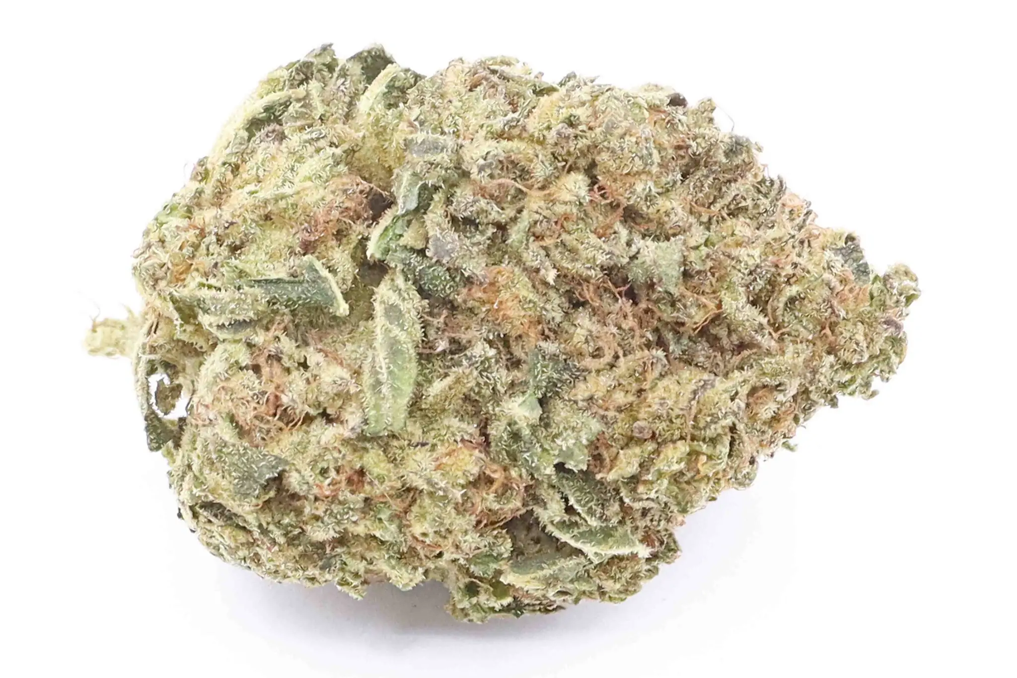 High Country Diesel Cannabis Strain