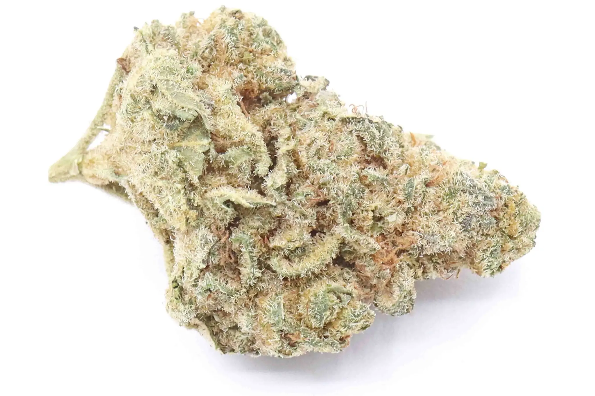 Lemon Haze Cannabis Strain AAA Small Buds – Australia