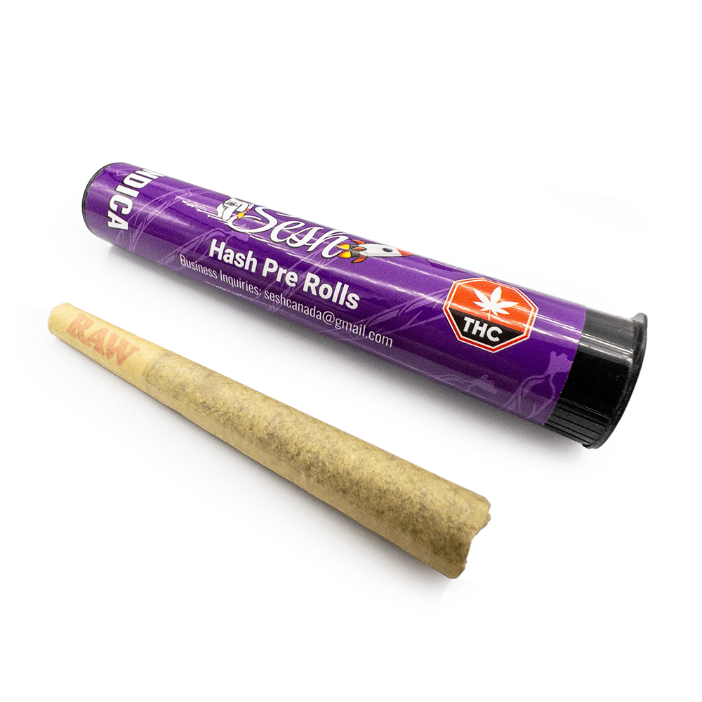 Sesh Cannabis Hash Joints – Indica