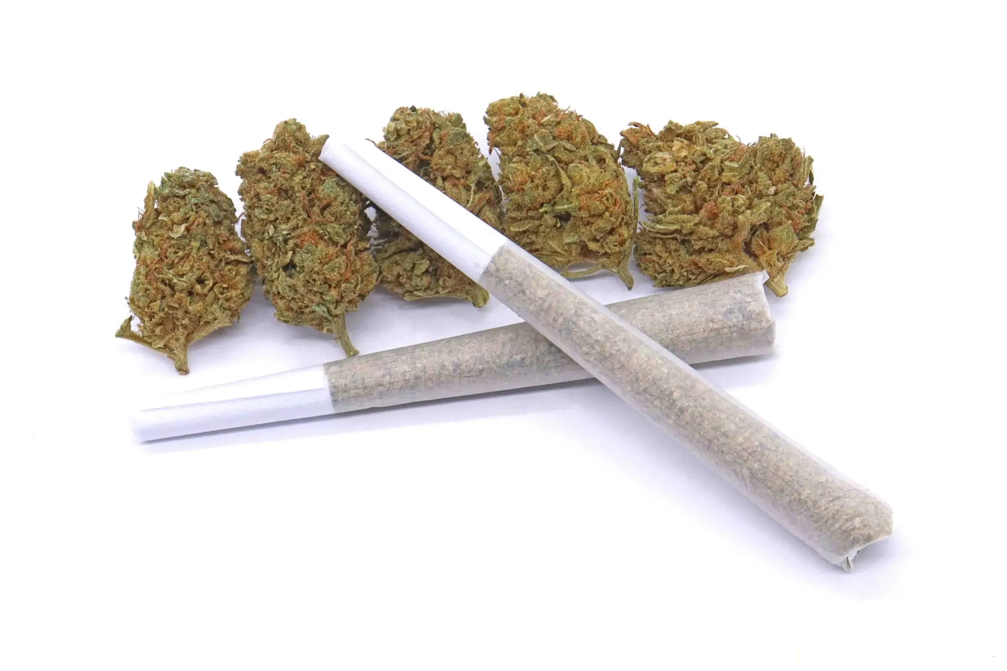 Space Queen Strain AAA Pre-Rolls – Hybrid – 1 gram