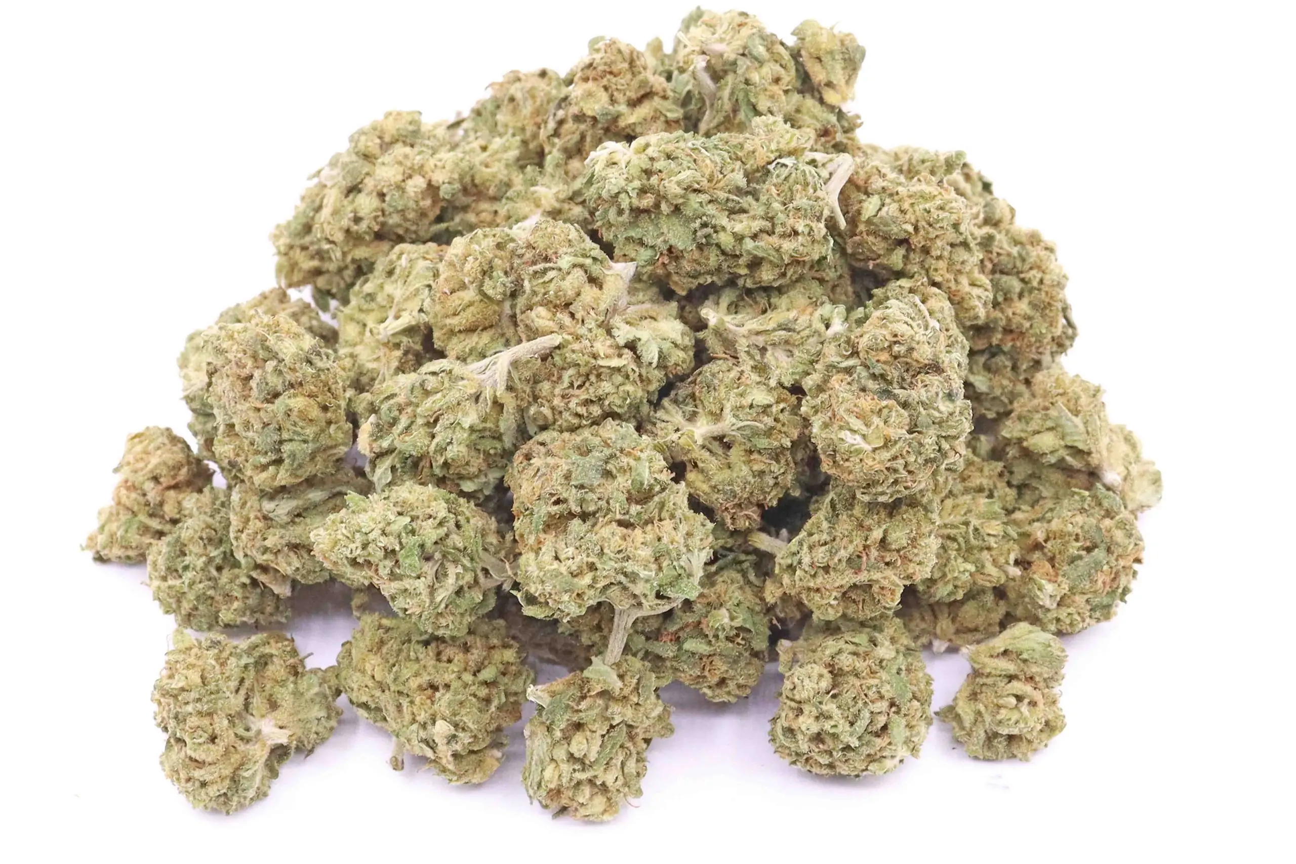Treasure Island CBD Strain Flower – Sativa AU