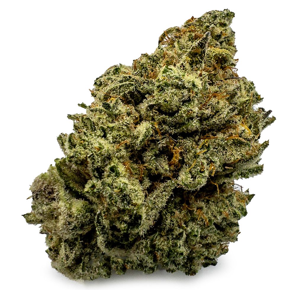 Tropic Truffle Marijuana Strain AU