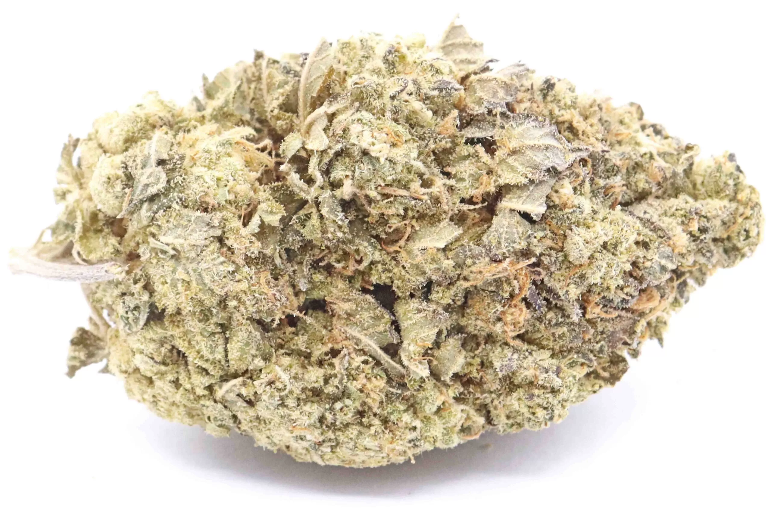 White Castle Cannabis Strain